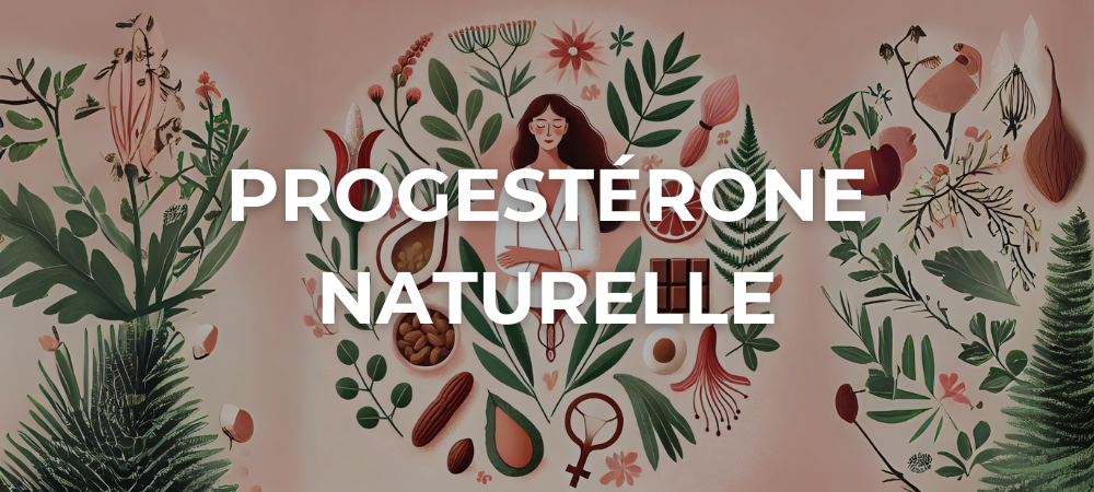 Illustration représentant l'équilibre hormonal féminin avec une femme détendue entourée de plantes médicinales, d’aliments riches en nutriments et de symboles de bien-être.