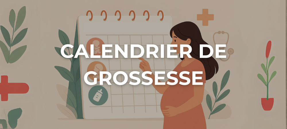 Illustration d’une femme enceinte consultant un calendrier mensuel de grossesse, entourée d’icônes symbolisant chaque trimestre.
