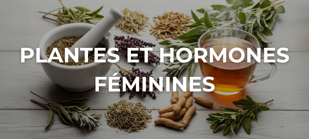 Plusieurs plantes médicinales pour l'équilibre hormonal féminin, comme la sauge et le gattilier, disposées sur une table en bois clair avec un mortier, un pilon et une tasse de tisane chaude.